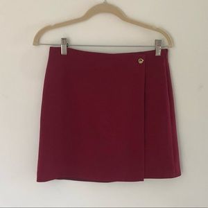 Aritzia Mini Skirt